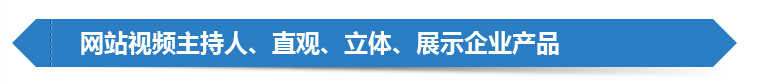 網站(zhàn)視(shì)頻主持人、直觀、立體、展示企業産品